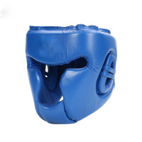 MMA Head Guard