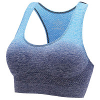 Ladies Sports Bra